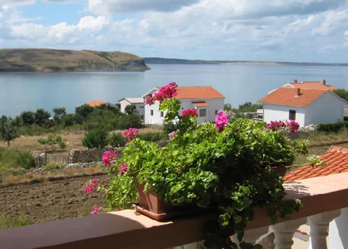 In Rtina - Zadar Riviera 8161 * Ражанац